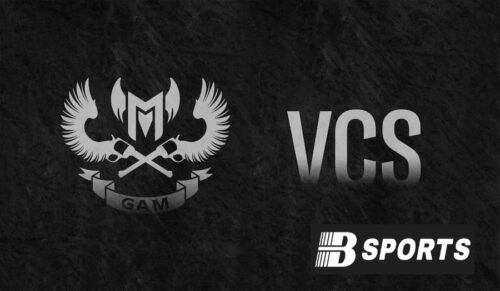 Đối với bên có ý kiến trái chiều với logo VCS mới 