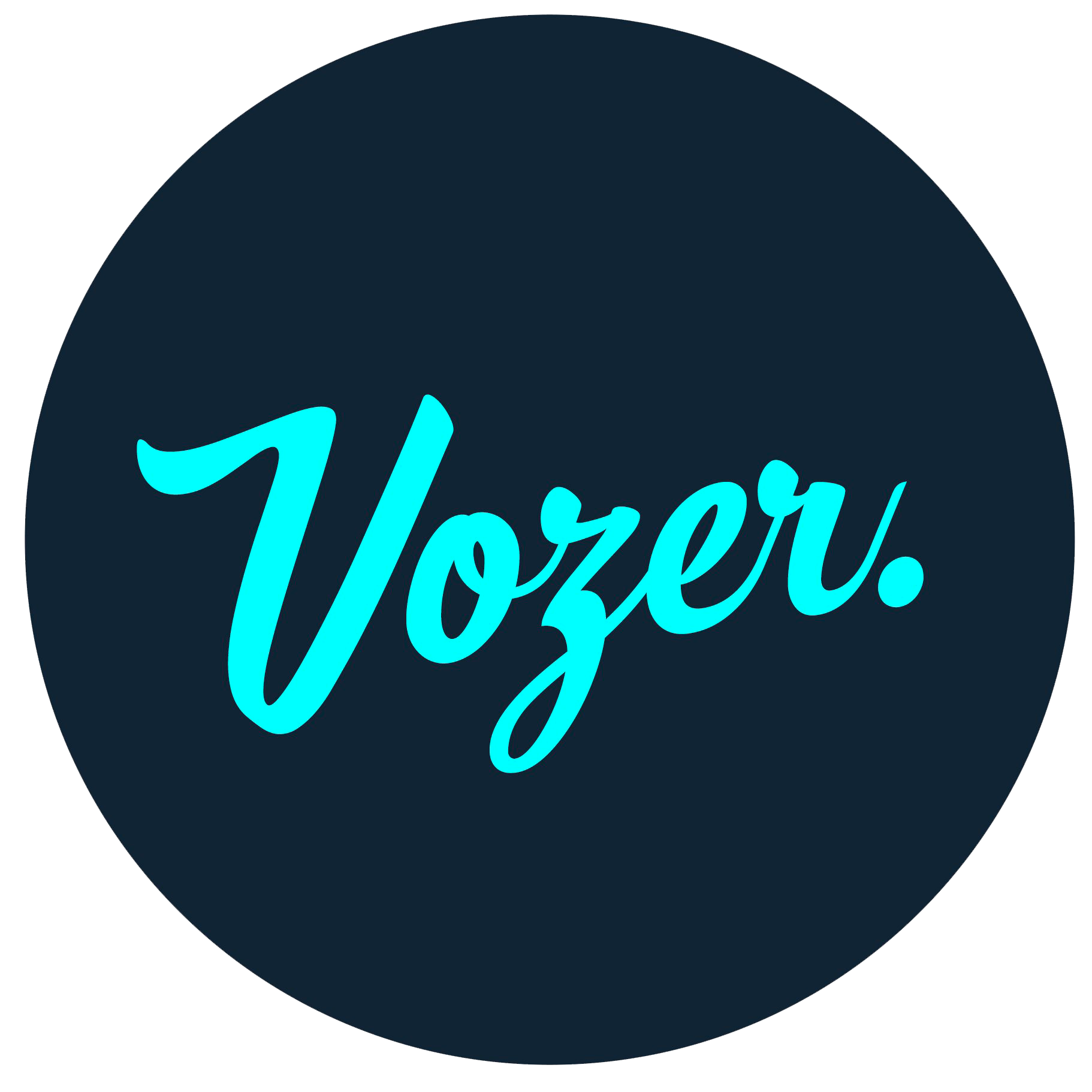 Vozer và những điều bạn chưa biết